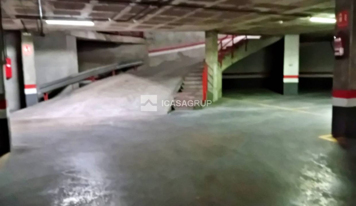 1168_39249121414_2_20231127135130846