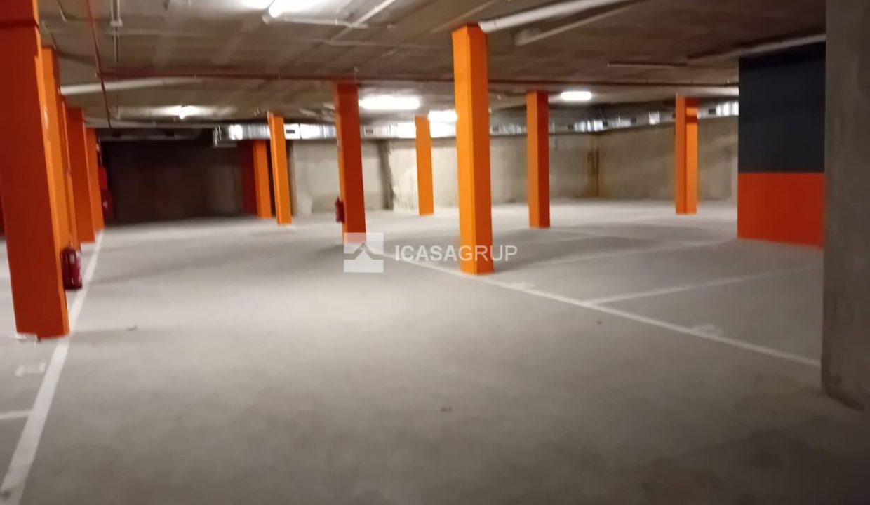 1168_40905493377_1_20240117160901904