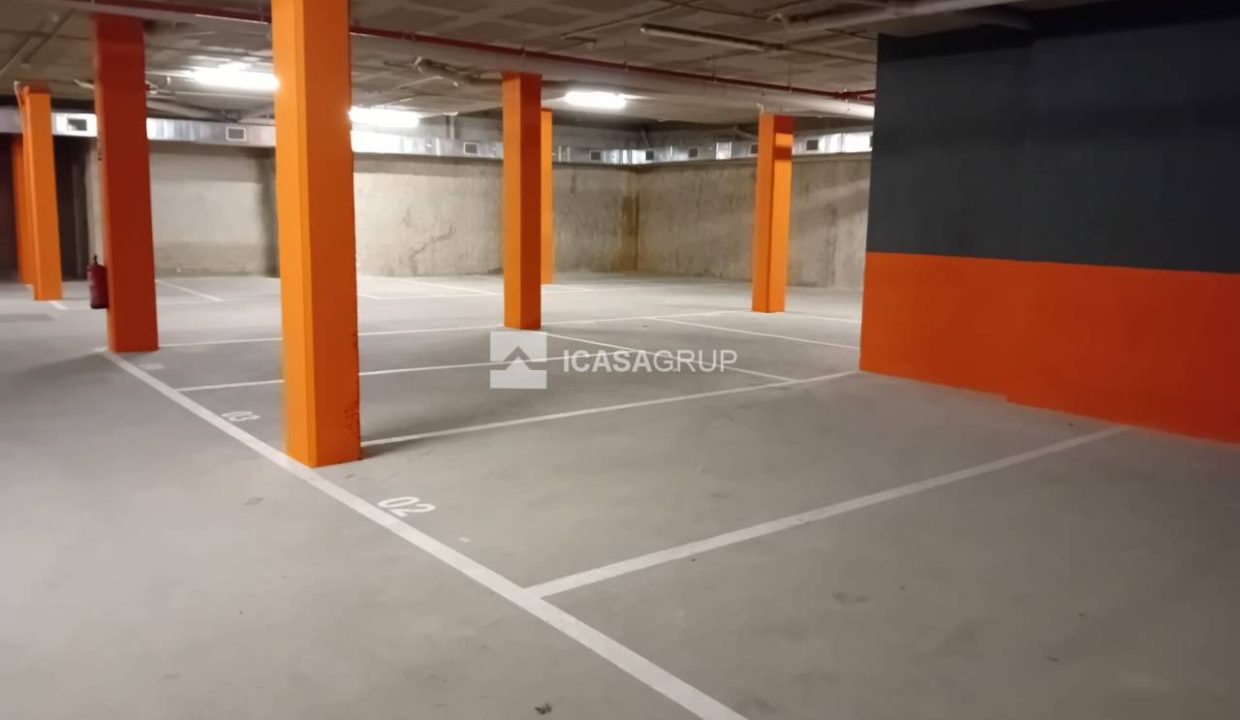 1168_40905493377_3_20240117160905811