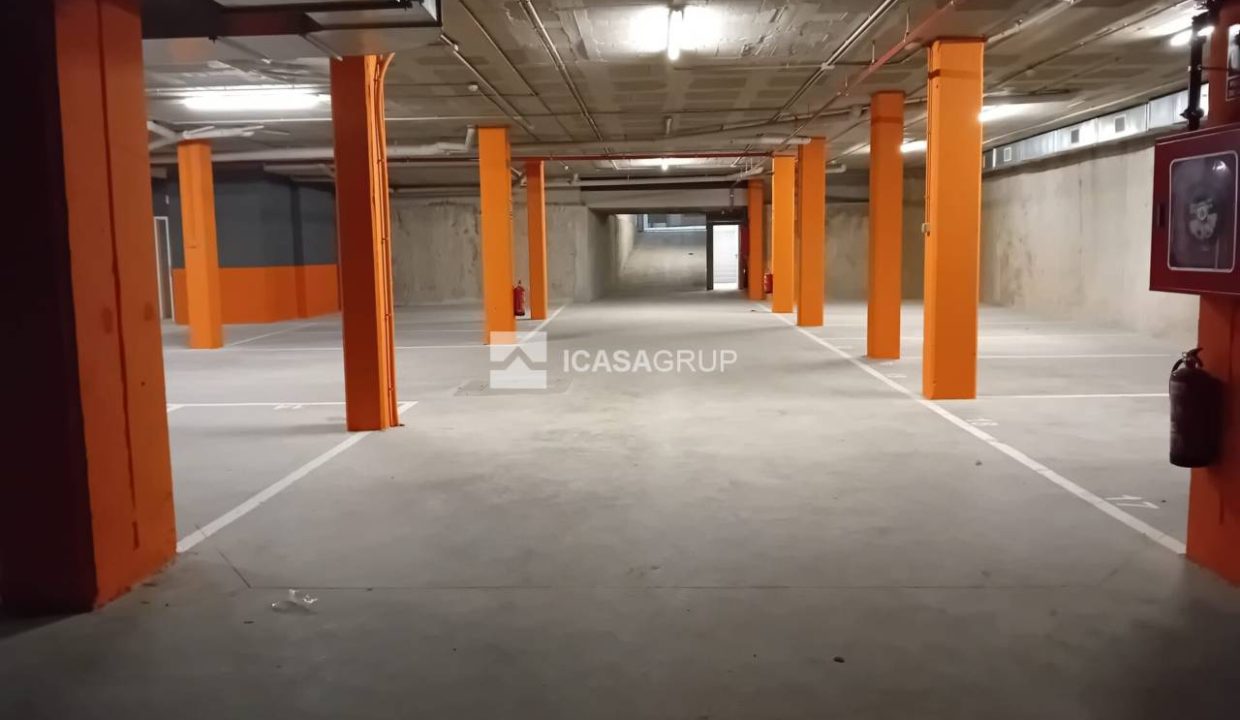 1168_40905493377_5_20240117160908739
