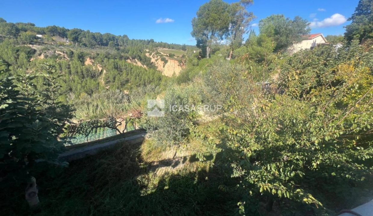 1168_59207681430_7d212854-cc29-4e85-8308-8a657089c88f