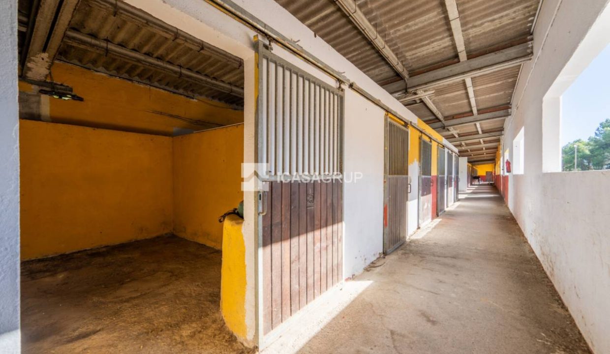 1168_60000892176_033b7918-26f1-4c5f-a208-7a26ca41c8e3