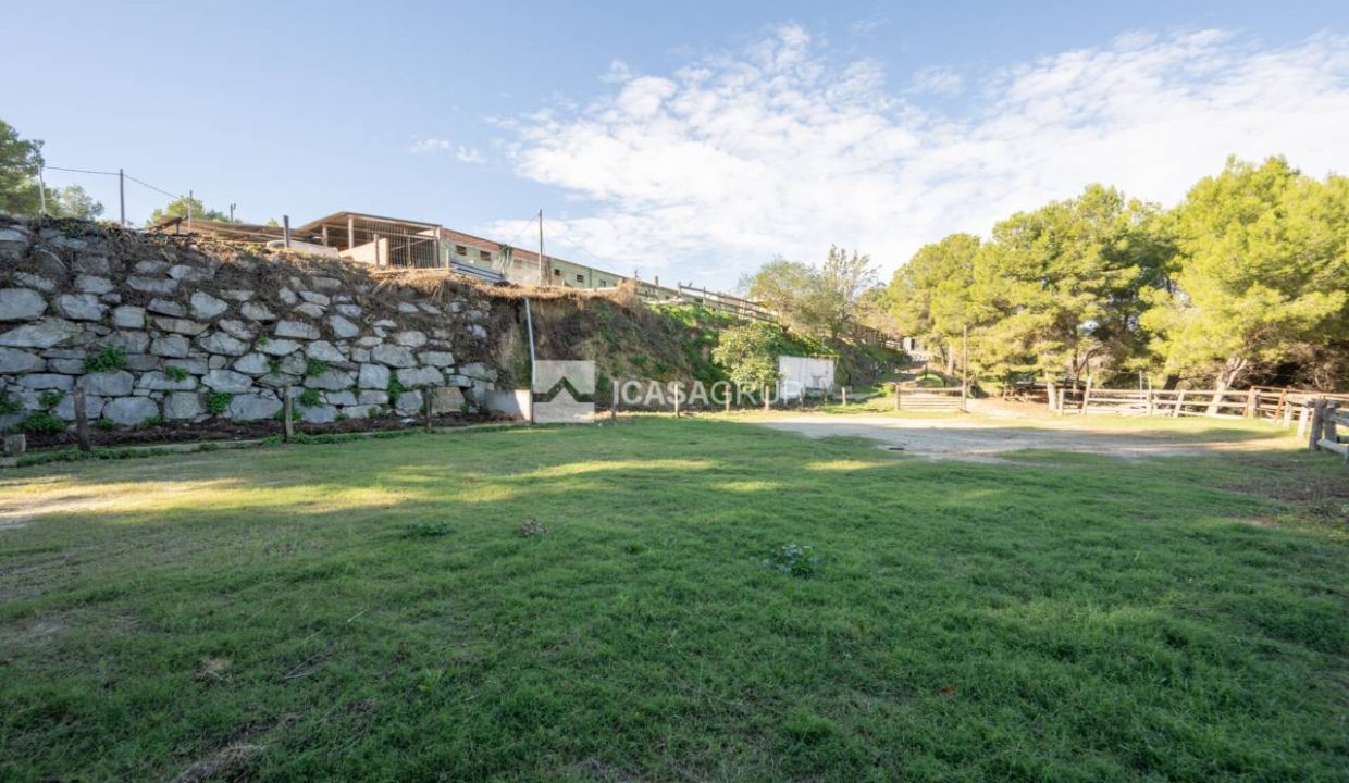 1168_60000892176_108f134d-9fbf-4bc8-9314-4eb41294425b