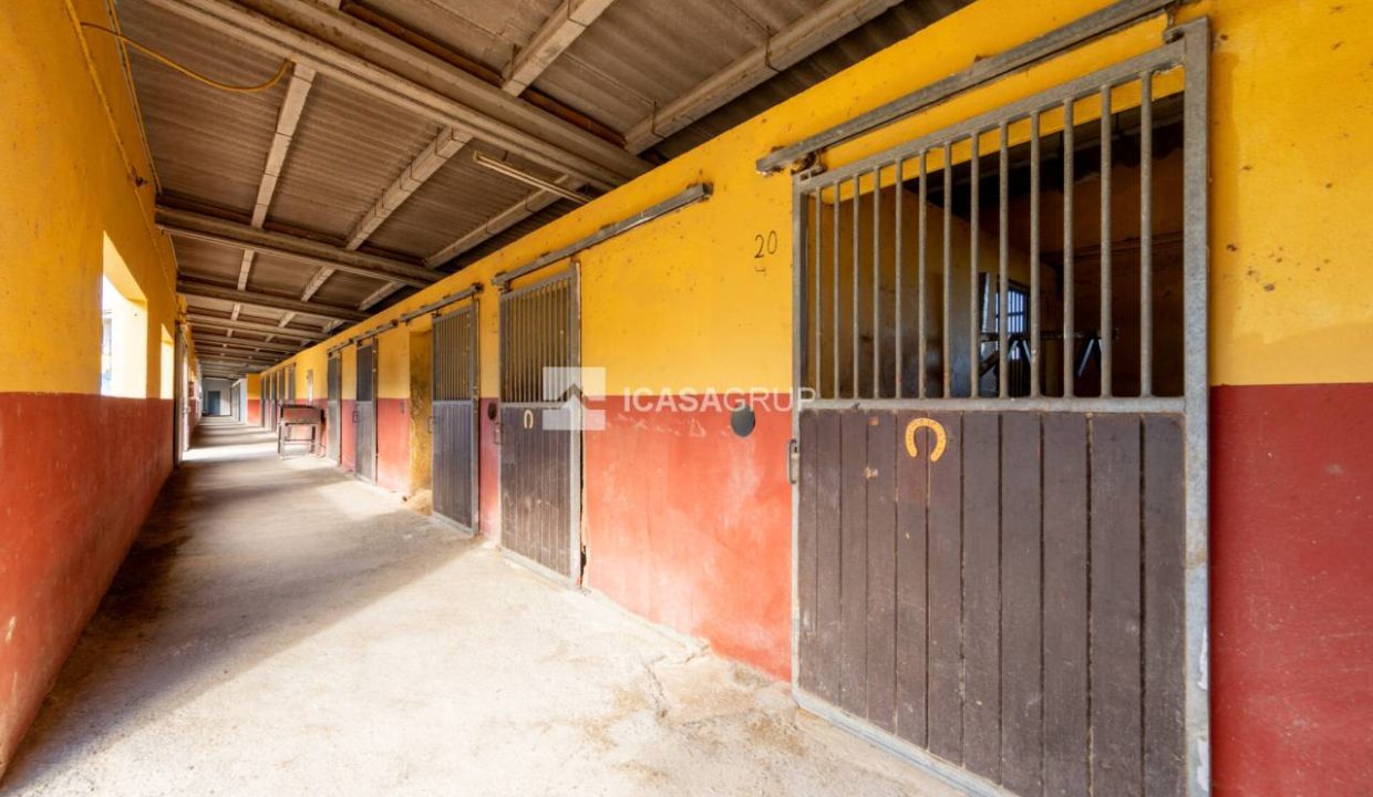 1168_60000892176_1c2b6f39-7745-4547-b215-19e08b577060