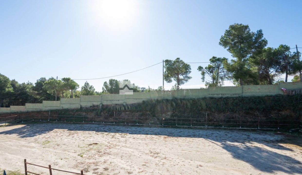 1168_60000892176_24c2aedf-9600-4a87-a8d3-cb42ff87f501