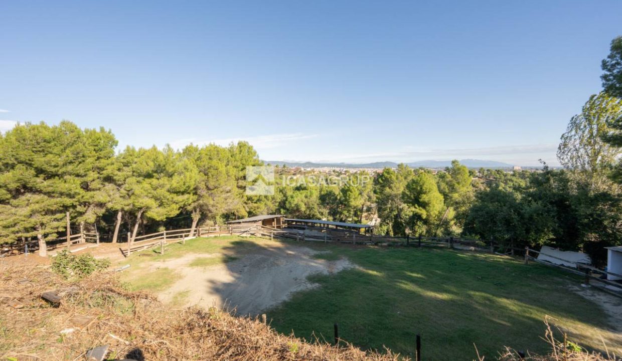 1168_60000892176_24ce5f24-28bd-4b21-a4b8-ee61c77fc249