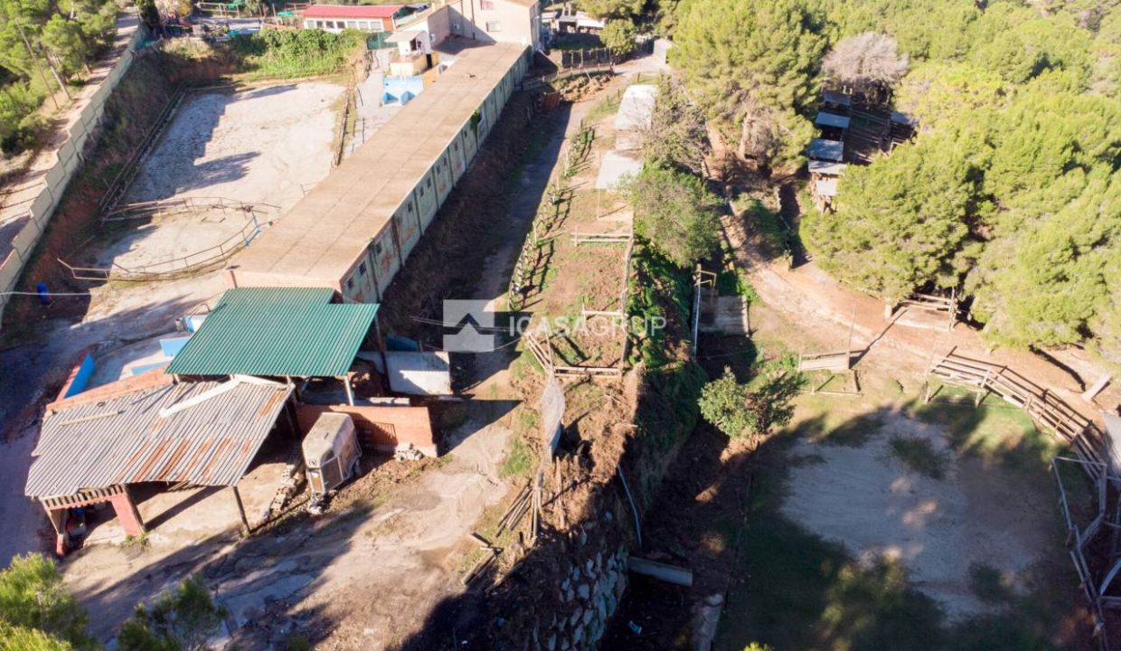 1168_60000892176_3190a42d-e7e9-4015-85fe-c65c02c1d978