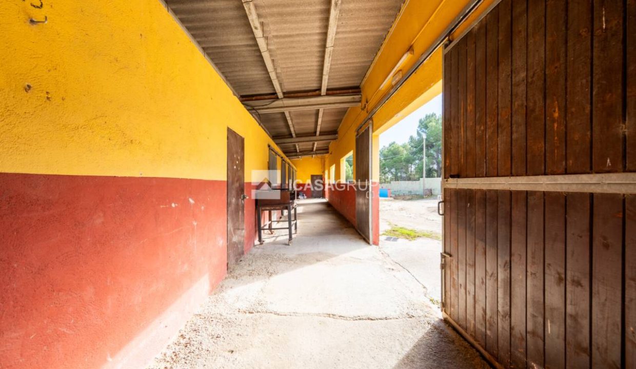 1168_60000892176_a3e7b51d-56c2-4897-93ea-bd8bcb17e0b8