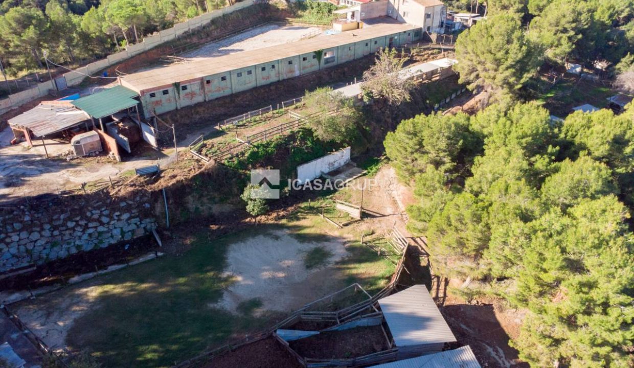 1168_60000892176_ce8aed40-cc77-4035-9b1f-d959af8dd90d