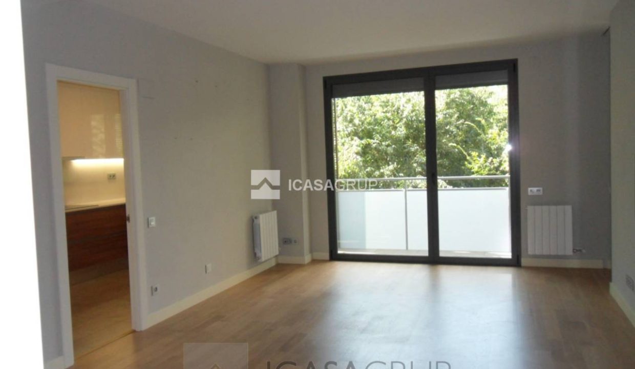 1168_97586838909_19_20190905134259173