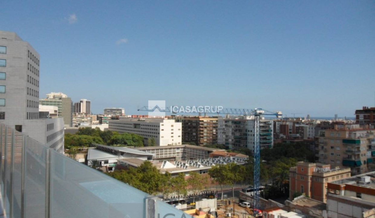 1168_97586838909_3_20190905134251579