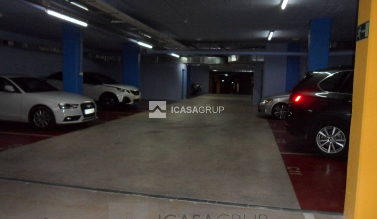 1168_97586838909_53_20190905134312453